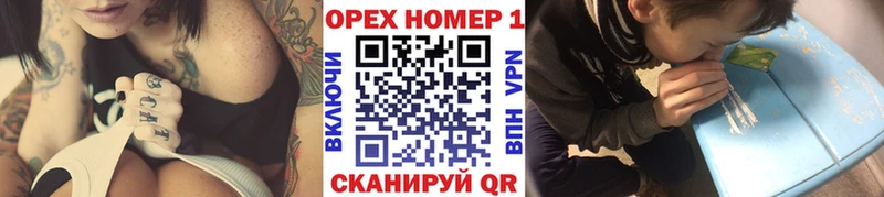 kraken рабочий сайт  Горняк  COCAIN Fish Scale  где найти  