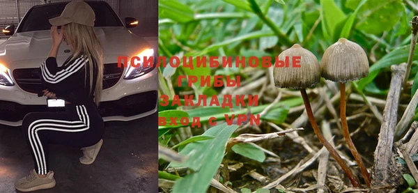 mdpv Белокуриха