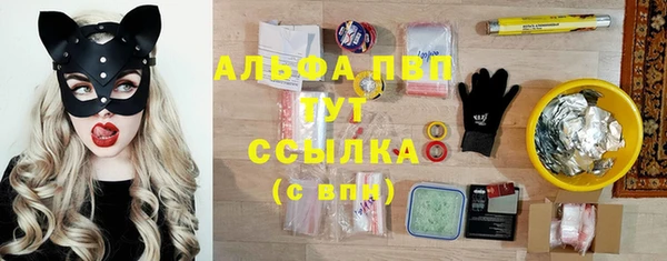 mdpv Белокуриха