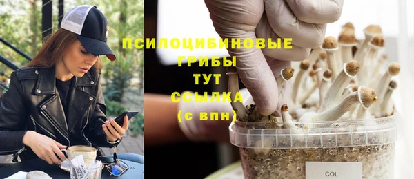 МДМА Богородицк