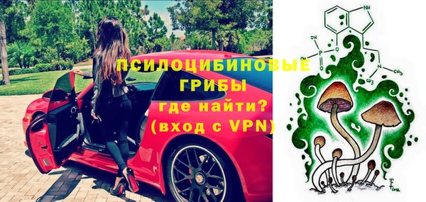 mdpv Белокуриха
